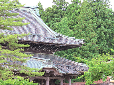 葬儀に関わりのある寺院